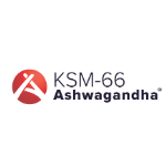 icono de ksm66
