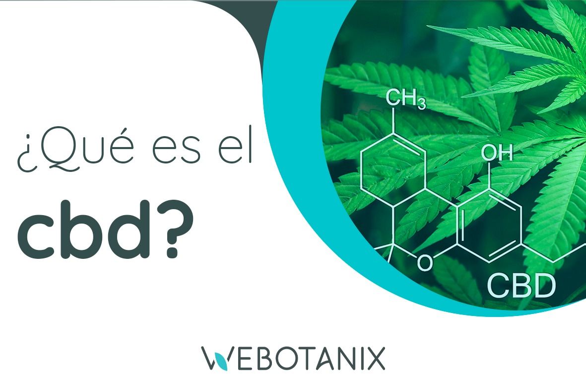 La anandamida y el CBD · WeBotanix