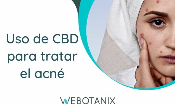 cbd para el acne