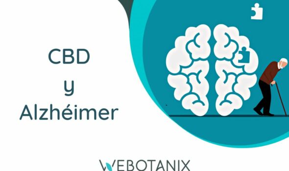 alzheimer y cbd