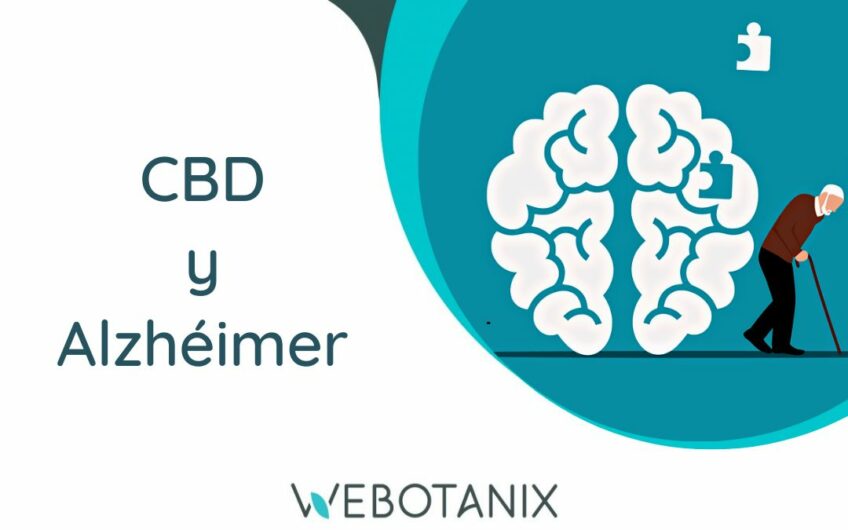 alzheimer y cbd