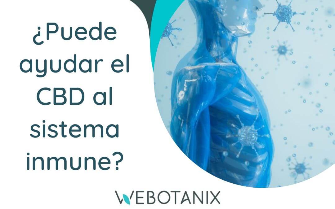 puede ayudar el cbd al sistema inmune