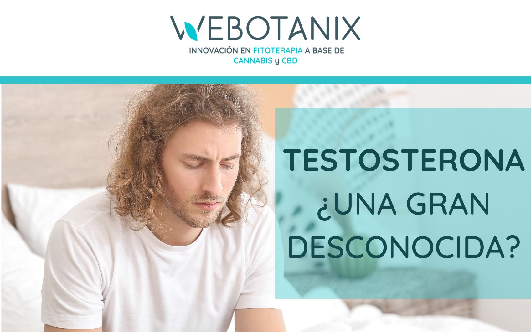 testosterona-gran-desconocida