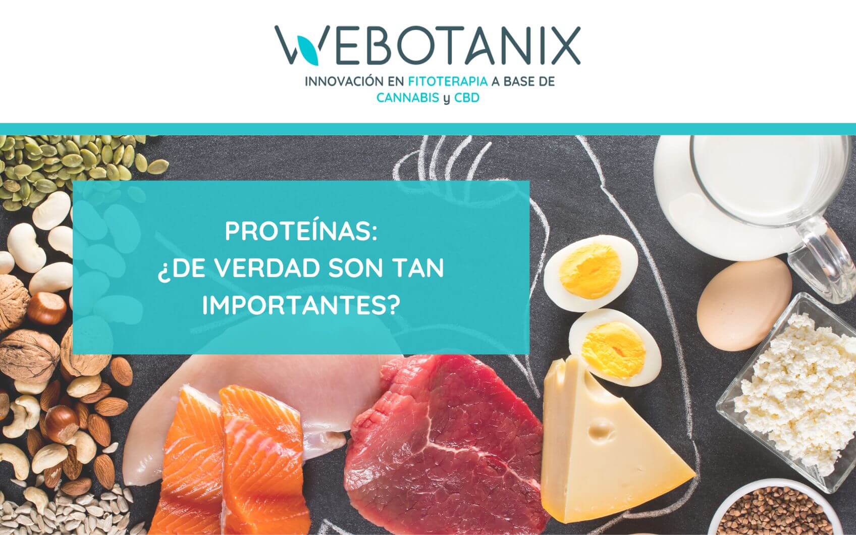 tomar proteina vegetal