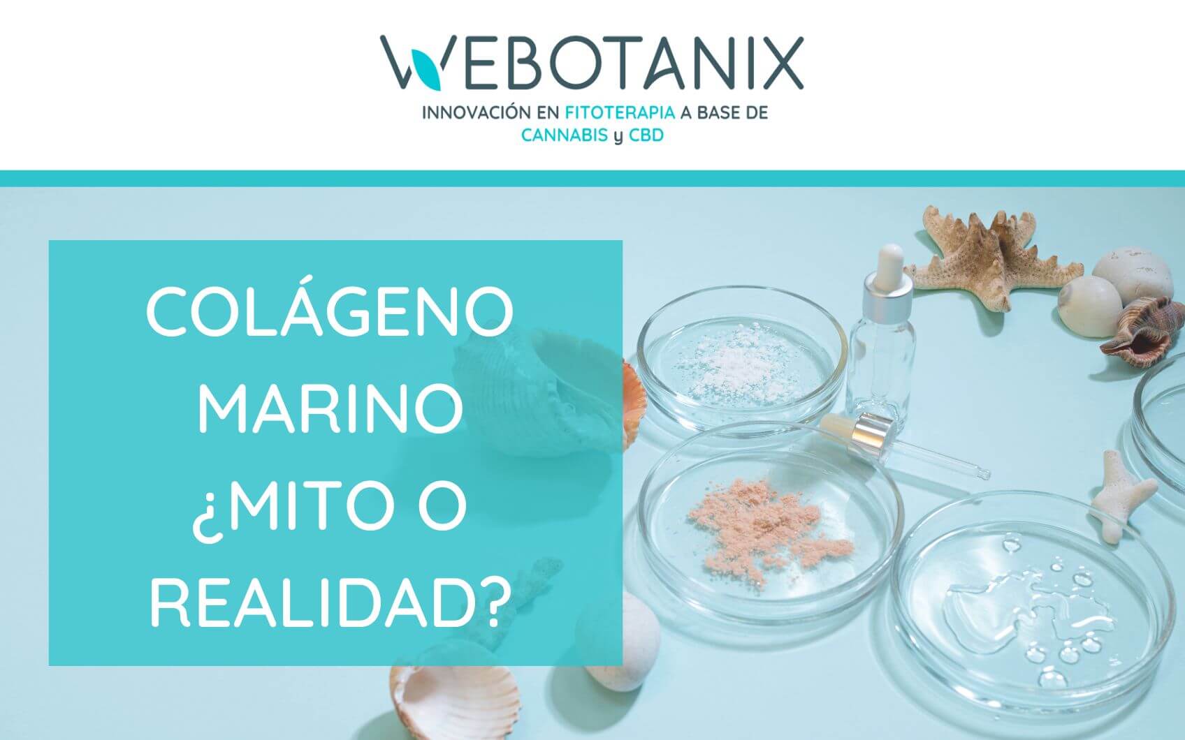 colageno-marino-mito-realidad