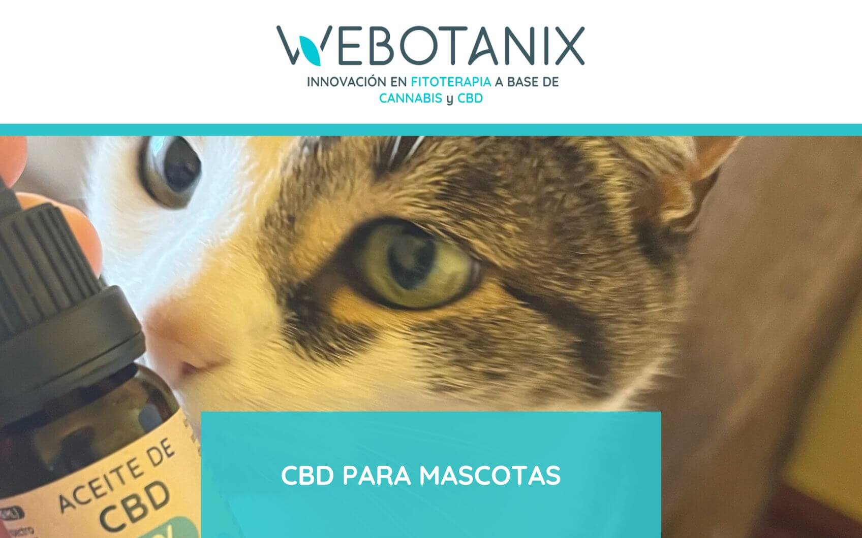 cbd para mascotas