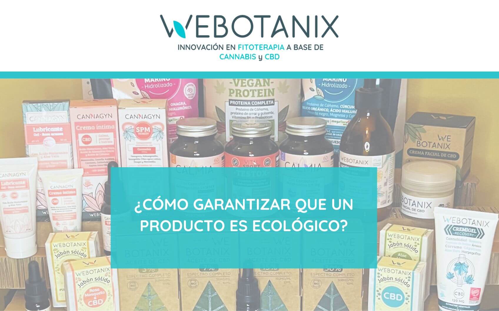 descubrir productos ecologicos