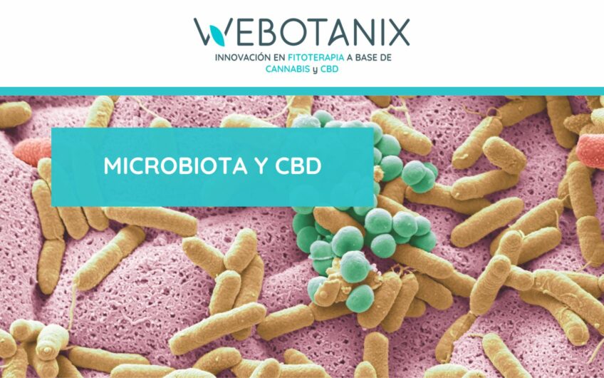 microbiota y cbd