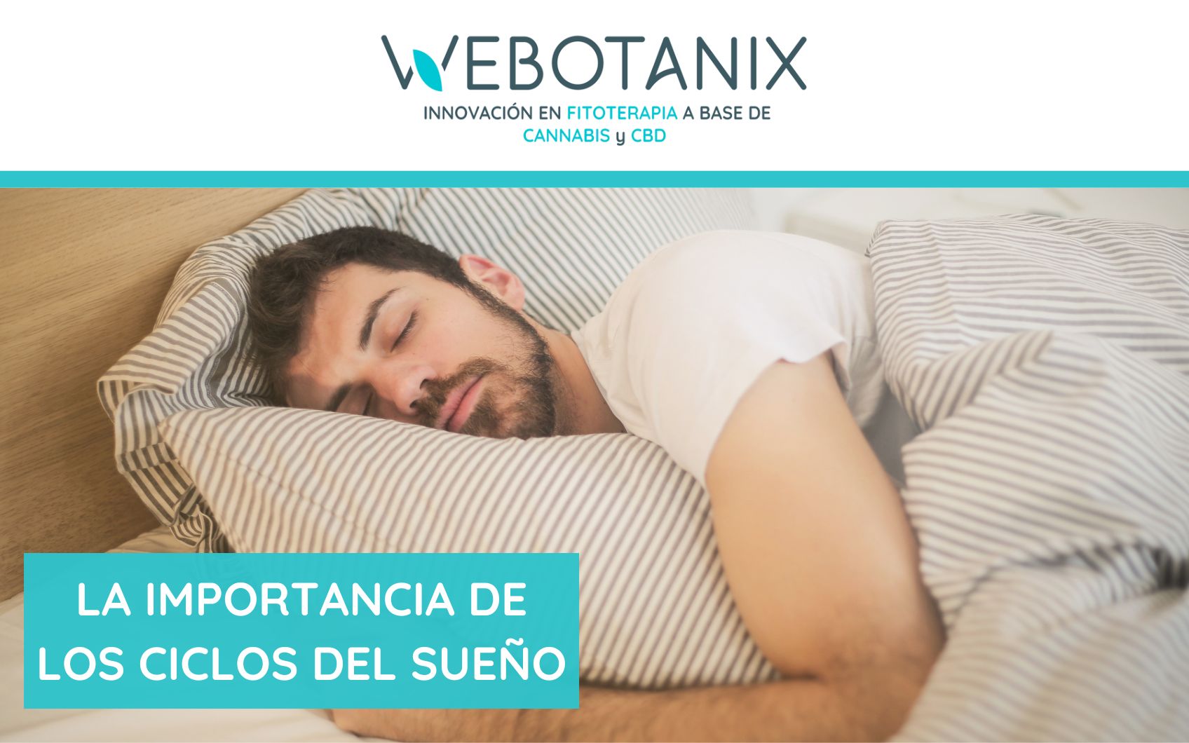 importancia de los ciclos de sueño