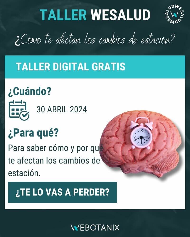 taller wesalud abril
