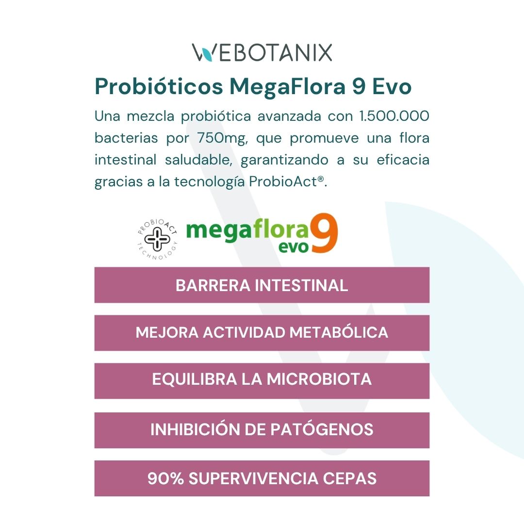 Probiotax Microbiota cacao 150g - Imagen 6