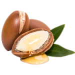 Icono de Aceite de Argán