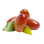 Icono de Aceite de Jojoba