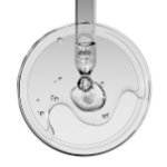 Icono de Ácido hialurónico