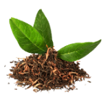 Icono de Aceite esencial de árbol del té