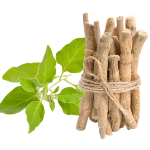 Icono de Ashwagandha