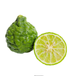 Icono de Aceite esencial Bergamota