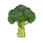 Icono de Brócoli