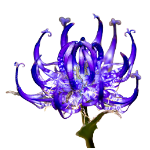 Icono de Harpagofito