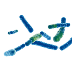 Icono de Probióticos