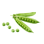 Icono de Proteína de Guisante